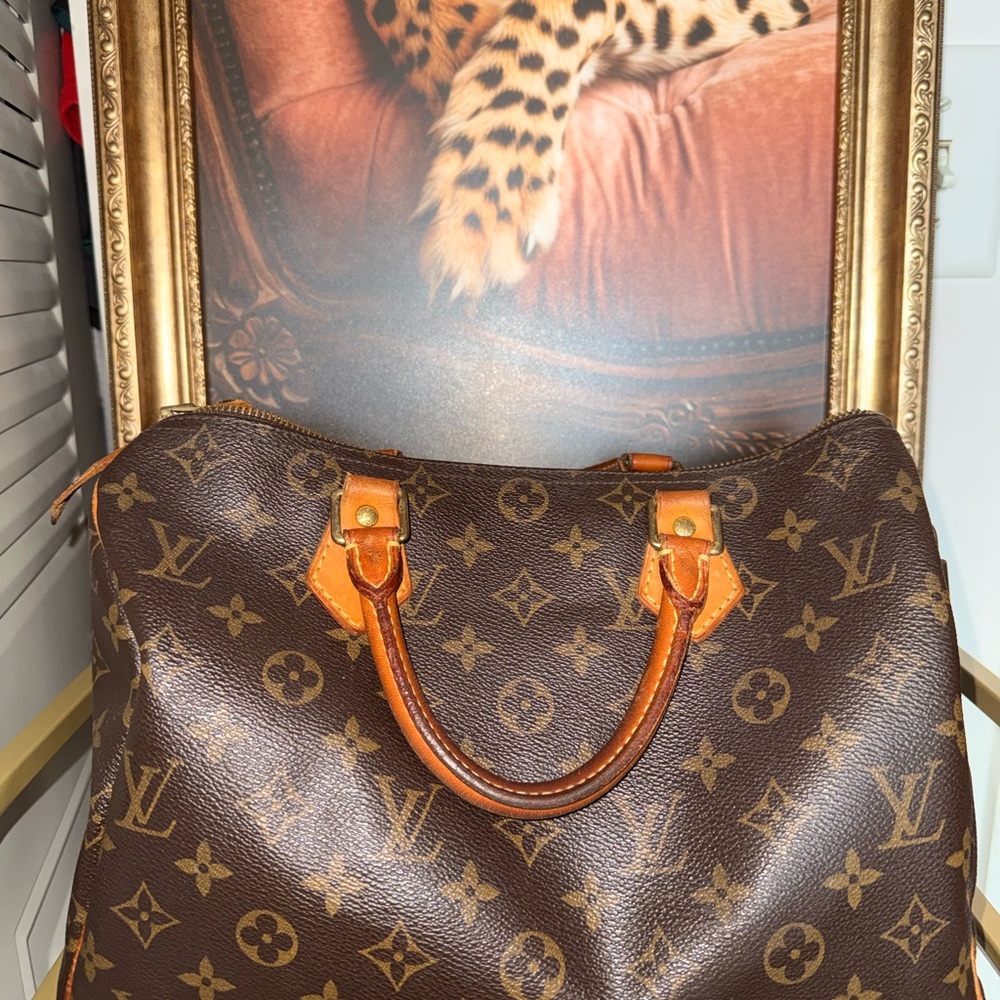 Louis Vuitton Brown Monogram Canvas Bag